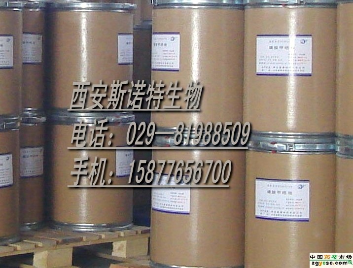 供应山楂提取物Hawthorn P.E. 